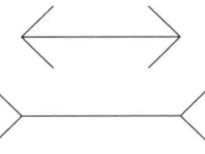 繆勒萊爾錯(cuò)覺：看到的不一定對，感覺到的可能是錯(cuò)誤，視覺與心理讓人產(chǎn)生錯(cuò)覺！