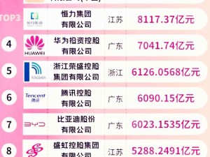 2024年最新中國十大民營企業(yè)營收數(shù)據(jù) 京東、阿里、恒力集團居前三名